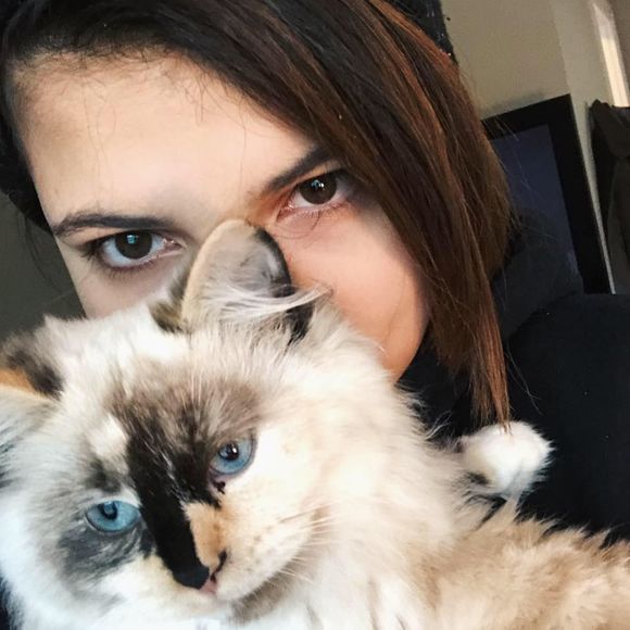 Meet your Posher, Shyle - Picture 1 of 1